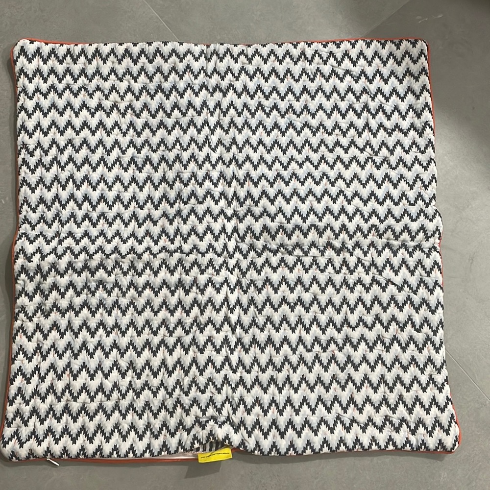 NWOT Decorative pillow cover